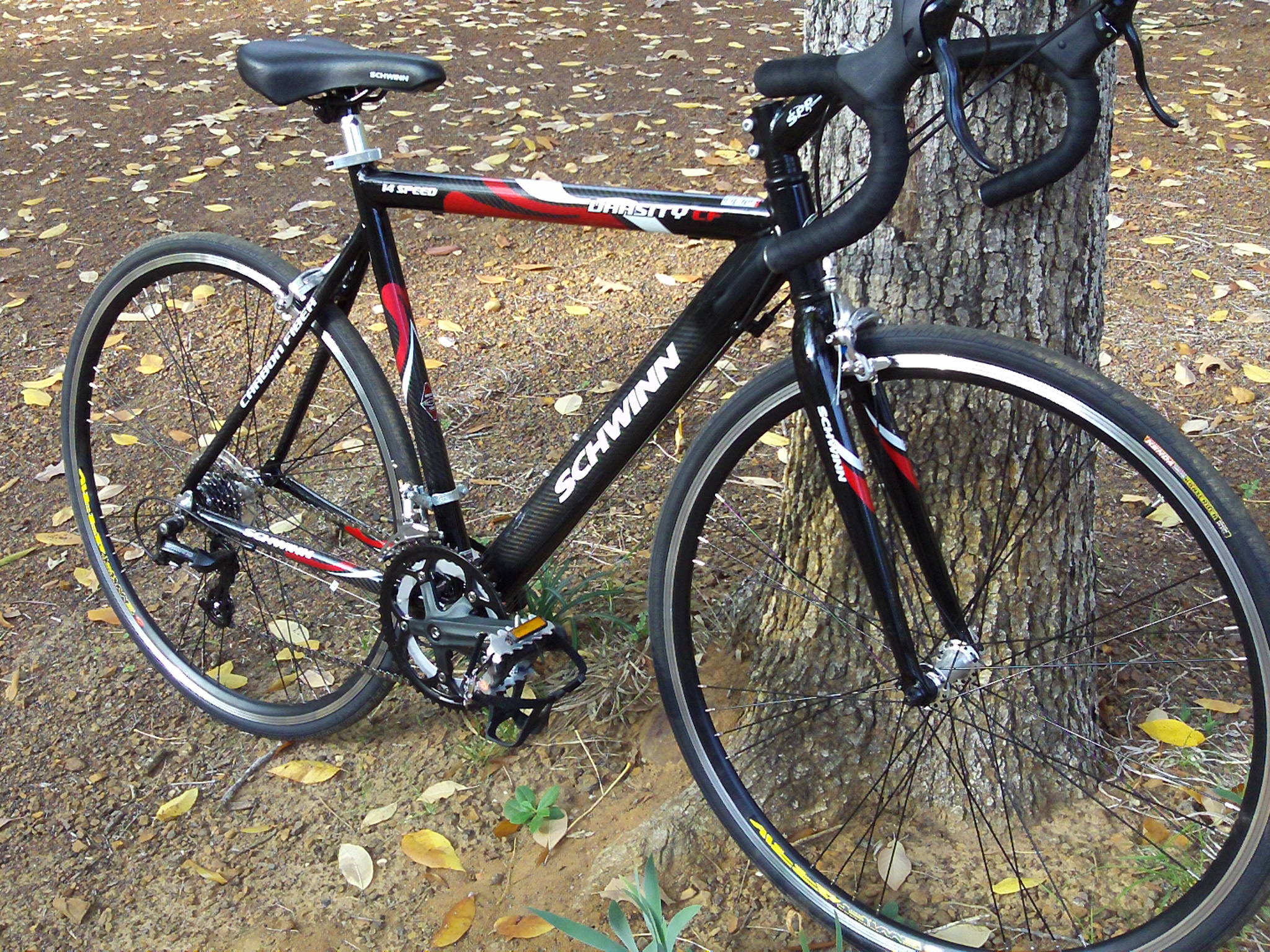 schwinn carbon fiber road bike